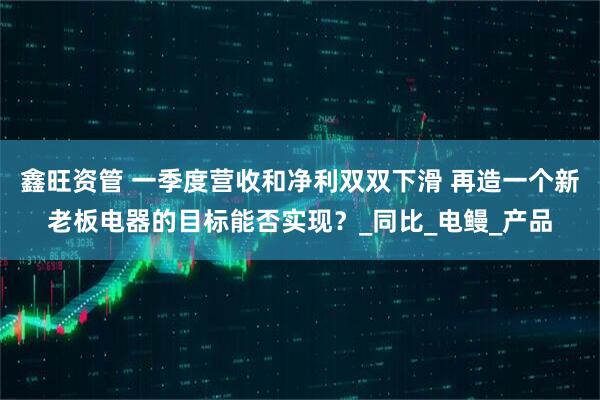 鑫旺资管 一季度营收和净利双双下滑 再造一个新老板电器的目标能否实现？_同比_电鳗_产品