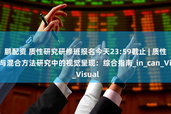 鹏配资 质性研究研修班报名今天23:59截止 | 质性研究与混合方法研究中的视觉呈现：综合指南_in_can_Visual