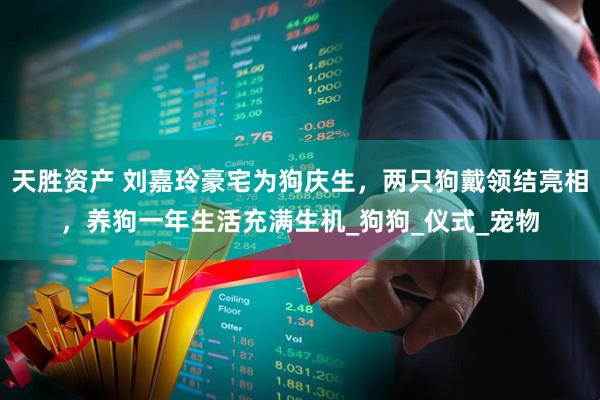 天胜资产 刘嘉玲豪宅为狗庆生，两只狗戴领结亮相，养狗一年生活充满生机_狗狗_仪式_宠物