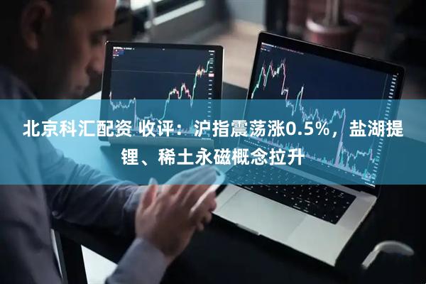 北京科汇配资 收评：沪指震荡涨0.5%，盐湖提锂、稀土永磁概念拉升