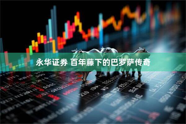 永华证券 百年藤下的巴罗萨传奇